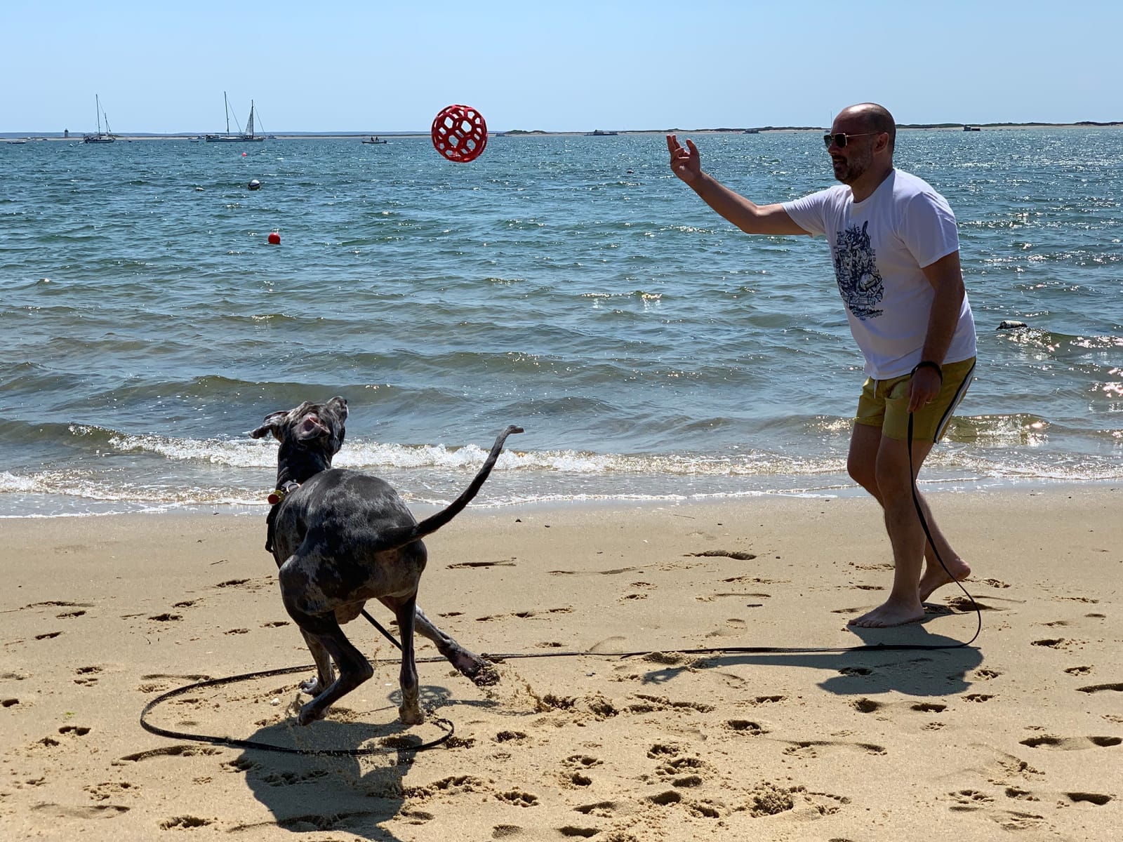 Roxane court après un disque sur la plage, la mer derrière.
