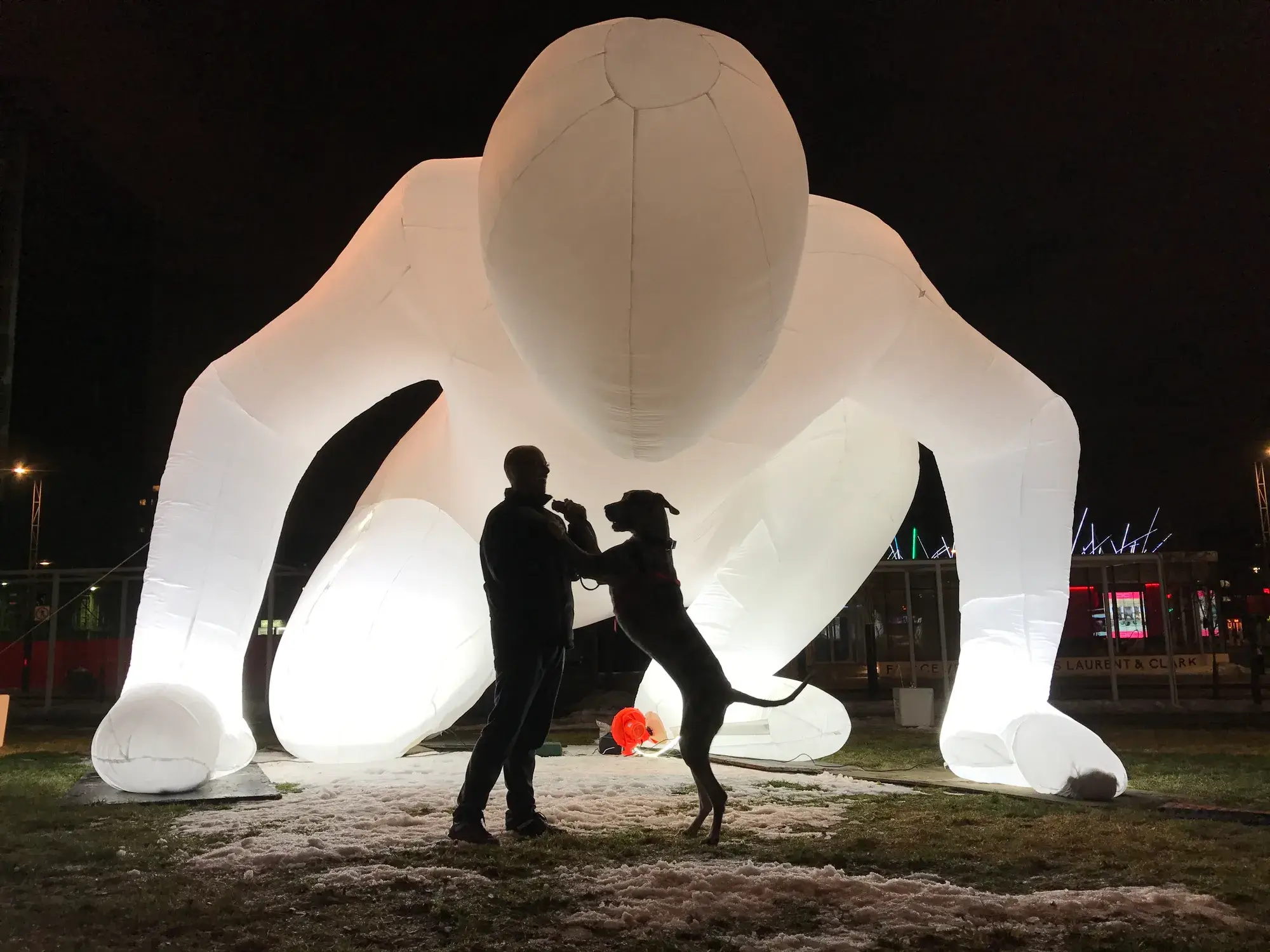 Roxane dressée sur ses pattes arrière contre son maître, devant une sculpture gonflable illuminée, la nuit.