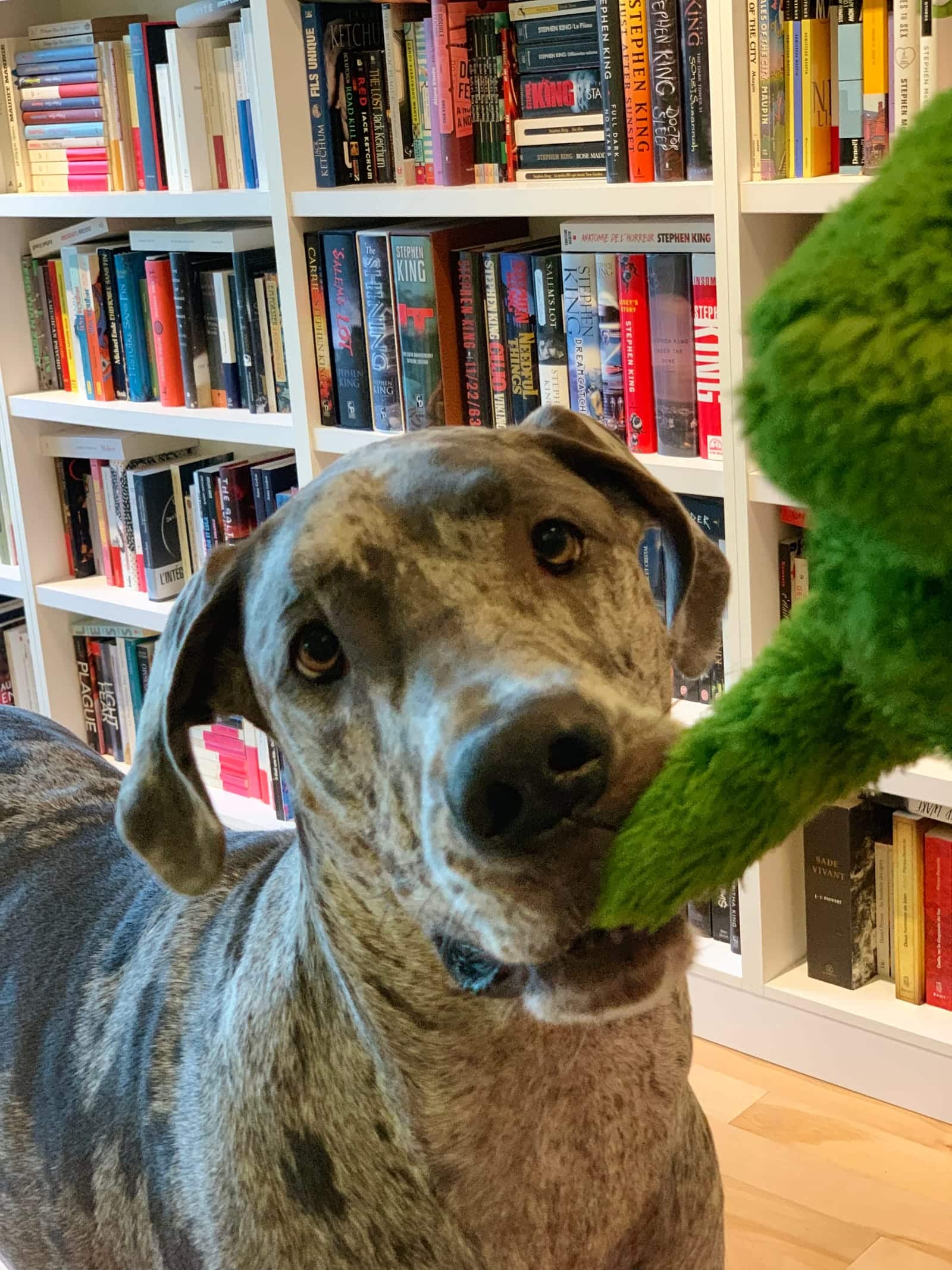 Roxane et son toutou vert, devant la bibliothèque.