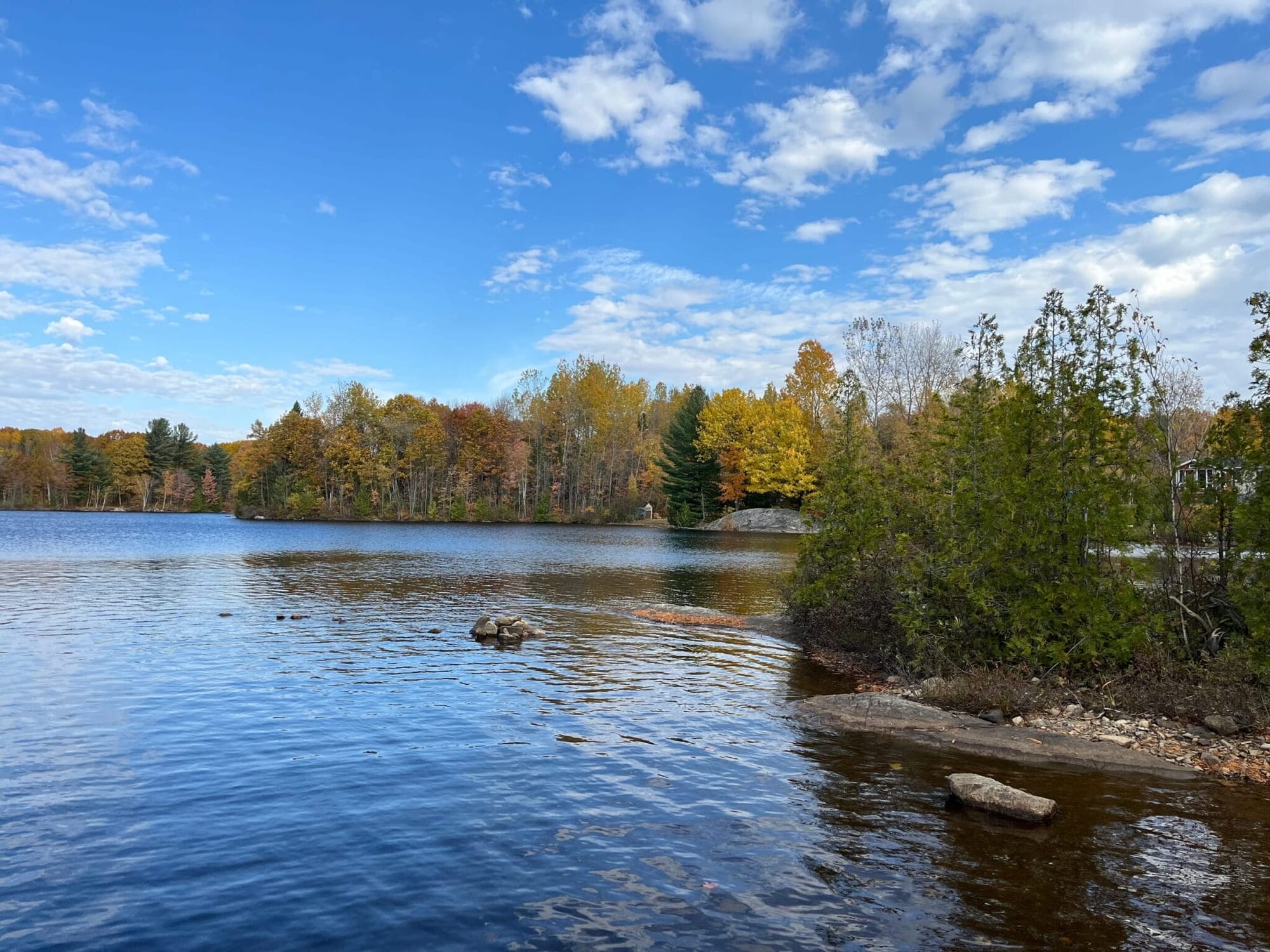 Le lac bordé d'arbres aux couleurs d'automne, sous un ciel dégagé.